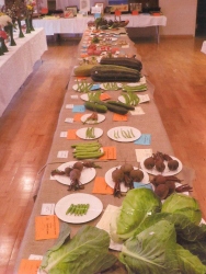 Bodham & Beckham Horticultural Show