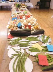 Bodham & Beckham Horticultural Show