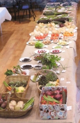Bodham & Beckham Horticultural Show