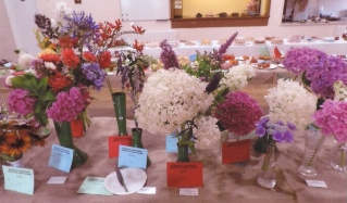 Bodham & Beckham Horticultural Show
