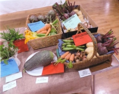Bodham & Beckham Horticultural Show