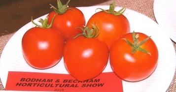 Bodham & Beckham Horticultural Show