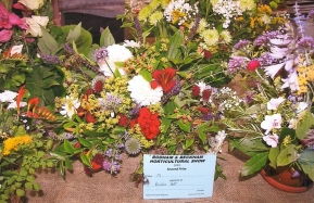 Bodham & Beckham Horticultural Show