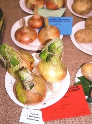 Bodham & Beckham Horticultural Show