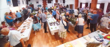 Bodham & Beckham Horticultural Show
