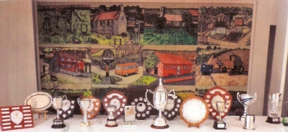 Bodham & Beckham Horticultural Show