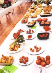 Bodham & Beckham Horticultural Show