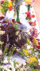 Bodham & Beckham Horticultural Show