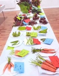 Bodham & Beckham Horticultural Show
