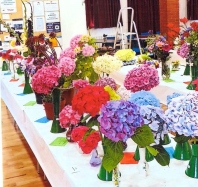 Bodham & Beckham Horticultural Show