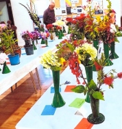 Bodham & Beckham Horticultural Show