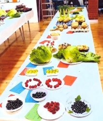 Bodham & Beckham Horticultural Show