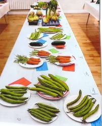 Bodham & Beckham Horticultural Show